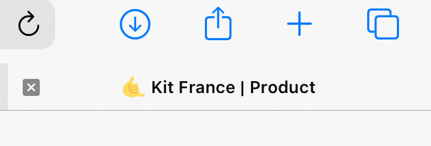 Screenshot of kits-dna favicon bug